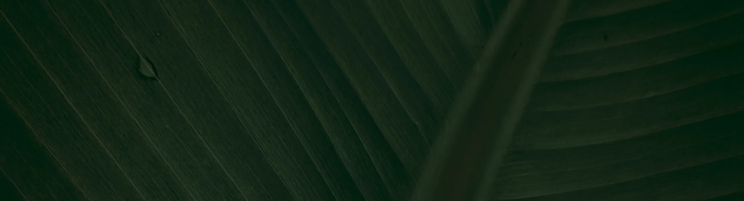 Choinka sztuczna na pniu PREMIUM – gęsta, jak żywa,